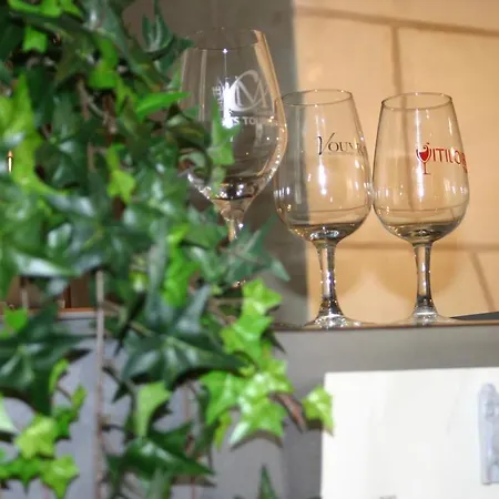 Apartment La Touraine Romantique Gare Cathedrale *